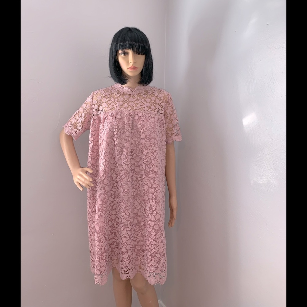 Lace Shift Dress